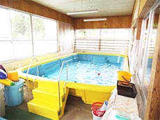 室内プール